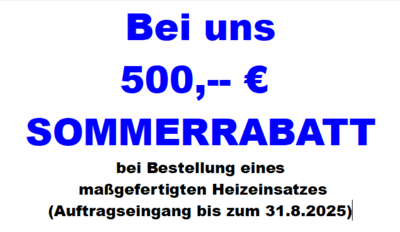 4-Kamineinsatz mit Garantie,Kamineinsatz Austauschpflicht,Kamineinsatz BimschV2